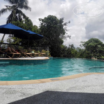 фото из отзыва ID 1656426