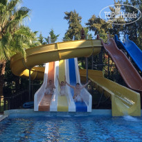 фото из отзыва ID 1657387