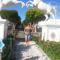 фото из отзыва ID 1660050