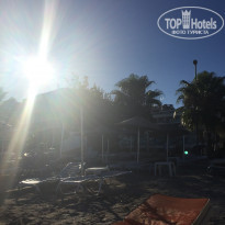 фото из отзыва ID 1660117