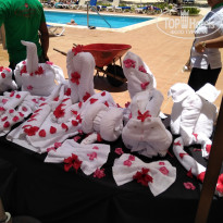 фото из отзыва ID 1661118