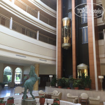 фото из отзыва ID 1664416