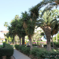 фото из отзыва ID 1664844