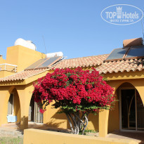 фото из отзыва ID 1664844