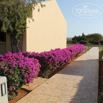 фото из отзыва ID 1664844