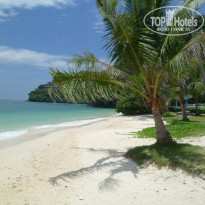 фото из отзыва ID 1667613