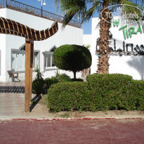 фото из отзыва ID 1669555