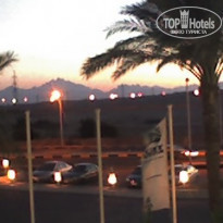 фото из отзыва ID 167296