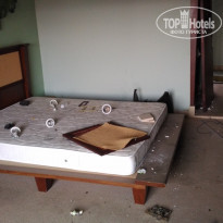 фото из отзыва ID 1670538