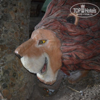 фото из отзыва ID 1670538