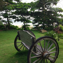 фото из отзыва ID 1670353