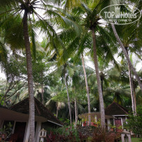 фото из отзыва ID 1670353