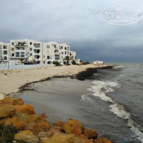 фото из отзыва ID 1671200