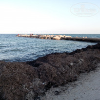 фото из отзыва ID 1671200