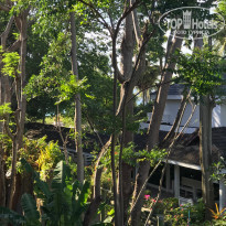 фото из отзыва ID 1675532