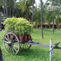 фото из отзыва ID 1678524