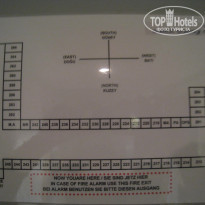 фото из отзыва ID 168944