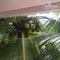 фото из отзыва ID 1680617