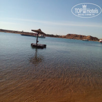 фото из отзыва ID 1681911