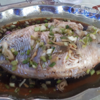 фото из отзыва ID 1684976