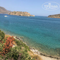 фото из отзыва ID 1685472