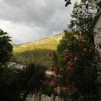 фото из отзыва ID 1686514