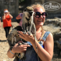 фото из отзыва ID 1687775