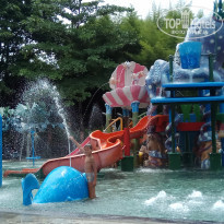 фото из отзыва ID 1687933