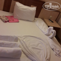 фото из отзыва ID 1688548