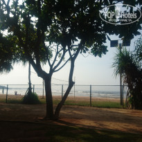 фото из отзыва ID 1688565