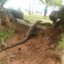 фото из отзыва ID 1688565