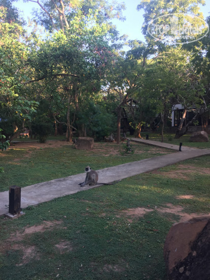 Фотографии отеля  Elephant Reach Yala 4*