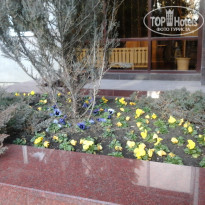 фото из отзыва ID 1690478