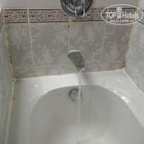 фото из отзыва ID 1697852