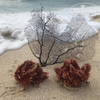 фото из отзыва ID 1699780