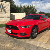 фото из отзыва ID 1699780