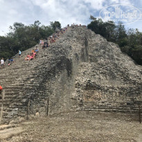 фото из отзыва ID 1699780