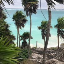 фото из отзыва ID 1699780