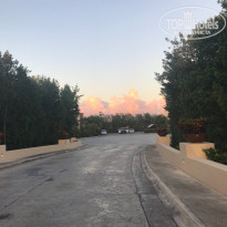 фото из отзыва ID 1699780