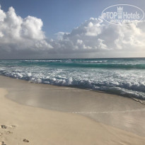 фото из отзыва ID 1699780