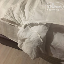 фото из отзыва ID 1700016