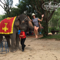 фото из отзыва ID 1701326