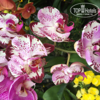 фото из отзыва ID 1701326