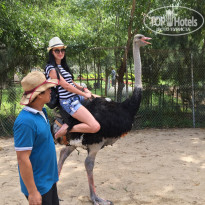 фото из отзыва ID 1701326