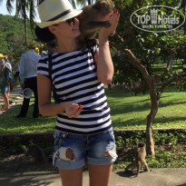 фото из отзыва ID 1701326