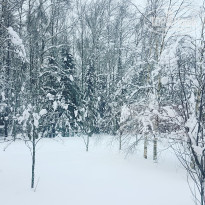 фото из отзыва ID 1703112