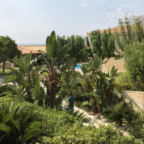 фото из отзыва ID 1704539