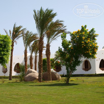 фото из отзыва ID 171009