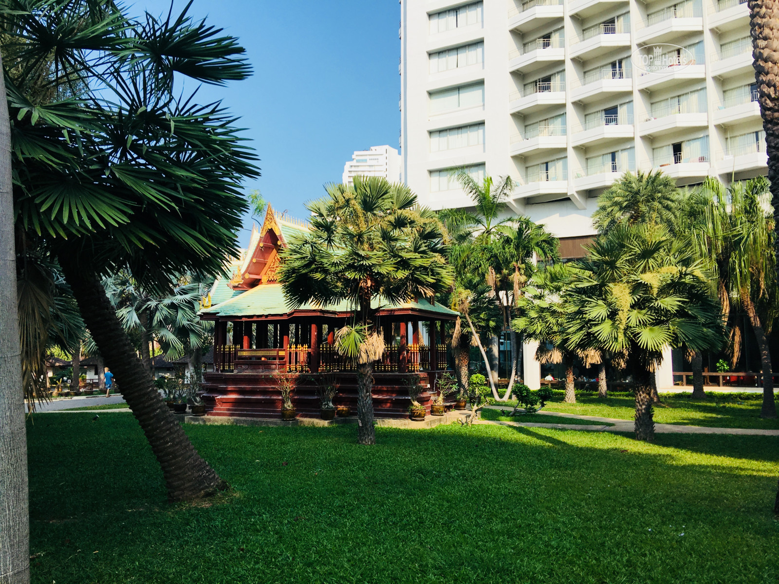 гостиница паттайя парк тайланд