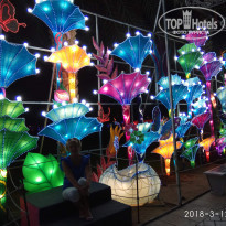 фото из отзыва ID 1715528